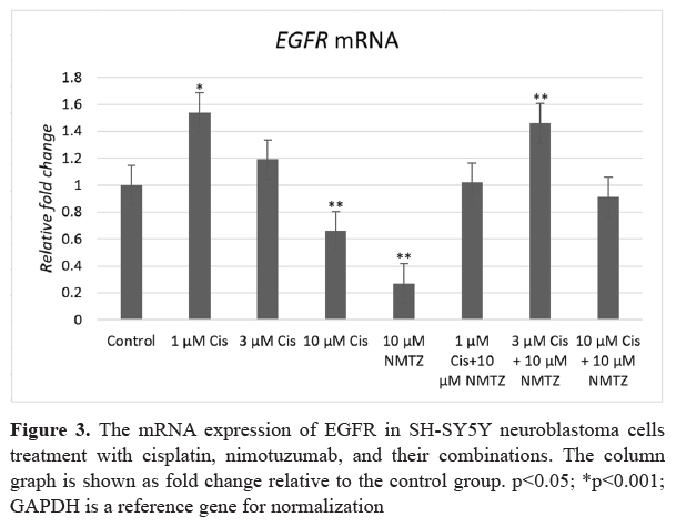 Synergistic antiproliferative effects of the cisplatin and nimotuzumab ...